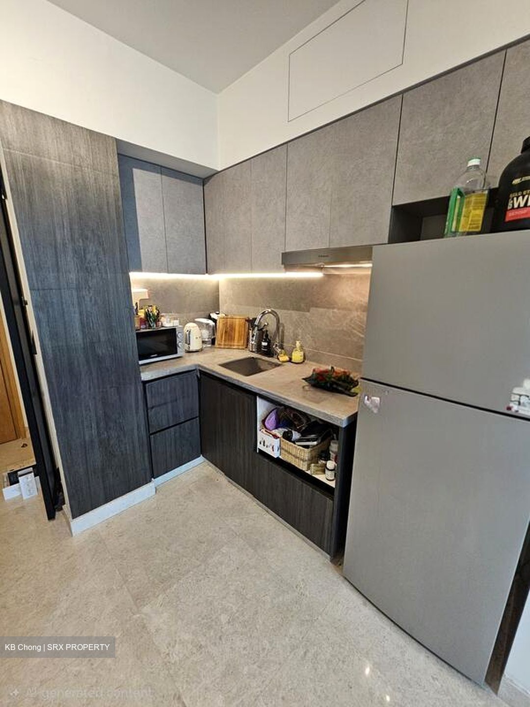 Eight Riversuites (D12), Condominium #504644901